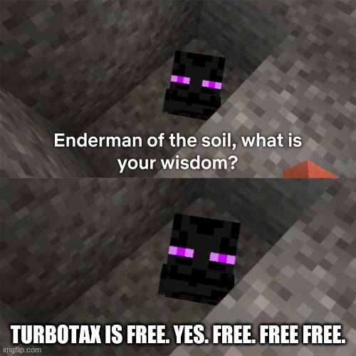 THESE ADS SUCK | TURBOTAX IS FREE. YES. FREE. FREE FREE. | image tagged in enderman of the soil,turbotax | made w/ Imgflip meme maker
