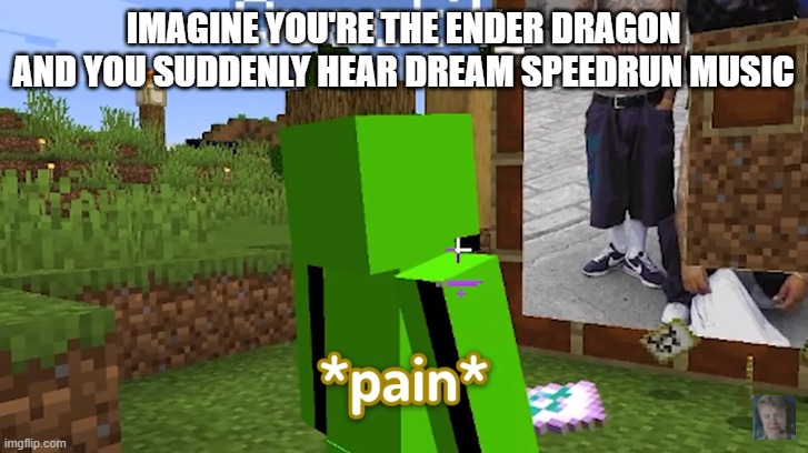 IMAGINE YOU'RE THE ENDER DRAGON AND YOU SUDDENLY HEAR DREAM SPEEDRUN MUSIC | image tagged in p a i n | made w/ Imgflip meme maker