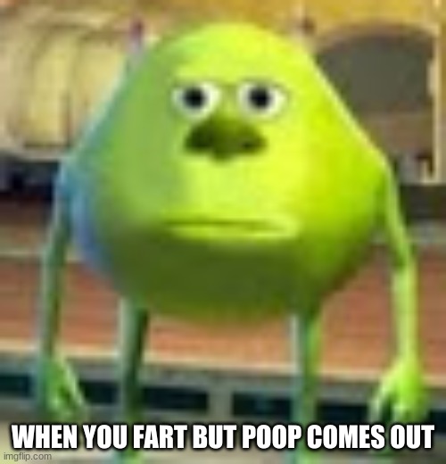 Sully Wazowski | WHEN YOU FART BUT POOP COMES OUT | image tagged in sully wazowski | made w/ Imgflip meme maker