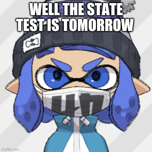 Inkling glaceon | WELL THE STATE TEST IS TOMORROW | image tagged in inkling glaceon | made w/ Imgflip meme maker