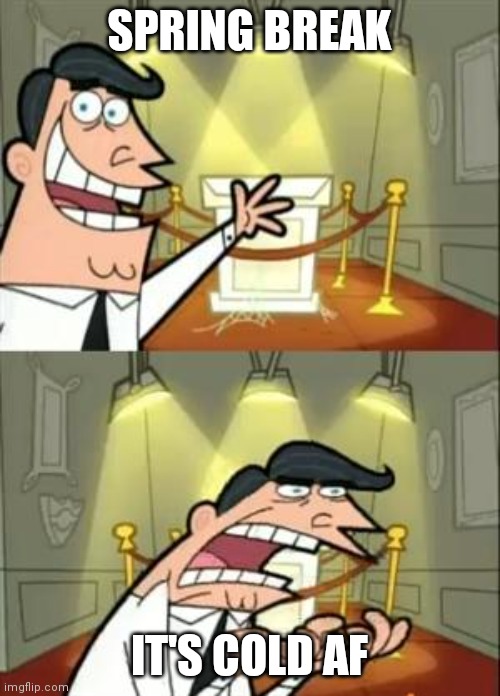 This Is Where I'd Put My Trophy If I Had One | SPRING BREAK; IT'S COLD AF | image tagged in memes,this is where i'd put my trophy if i had one | made w/ Imgflip meme maker