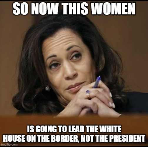 Gee, the democrats know it as well | SO NOW THIS WOMEN; IS GOING TO LEAD THE WHITE HOUSE ON THE BORDER, NOT THE PRESIDENT | image tagged in kamala harris,democrats,border | made w/ Imgflip meme maker