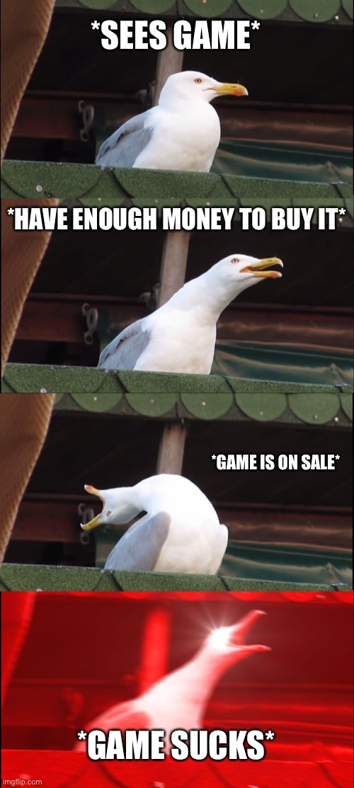 Inhaling Seagull | *SEES GAME*; *HAVE ENOUGH MONEY TO BUY IT*; *GAME IS ON SALE*; *GAME SUCKS* | image tagged in memes,inhaling seagull | made w/ Imgflip meme maker