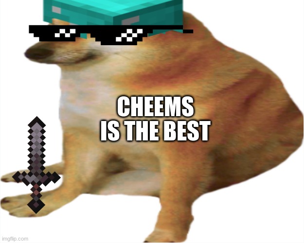 CHEEMS | IS THE BEST; CHEEMS | image tagged in cheems,cool,fun | made w/ Imgflip meme maker