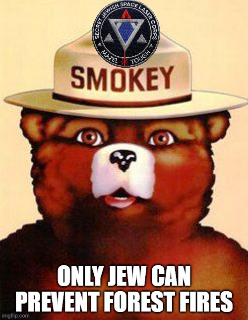 Secret space lasers - ages 13 and up! | ONLY JEW CAN PREVENT FOREST FIRES | image tagged in smokey the bear,memes,secret jewish space lasers badge,forest fire | made w/ Imgflip meme maker
