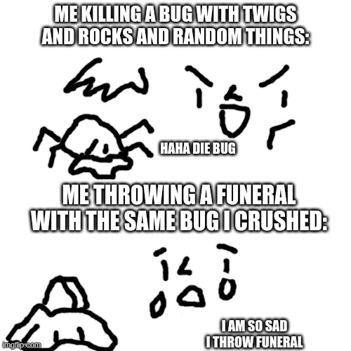 Blank Transparent Square | ME KILLING A BUG WITH TWIGS AND ROCKS AND RANDOM THINGS:; HAHA DIE BUG; ME THROWING A FUNERAL WITH THE SAME BUG I CRUSHED:; I AM SO SAD I THROW FUNERAL | image tagged in memes,blank transparent square | made w/ Imgflip meme maker