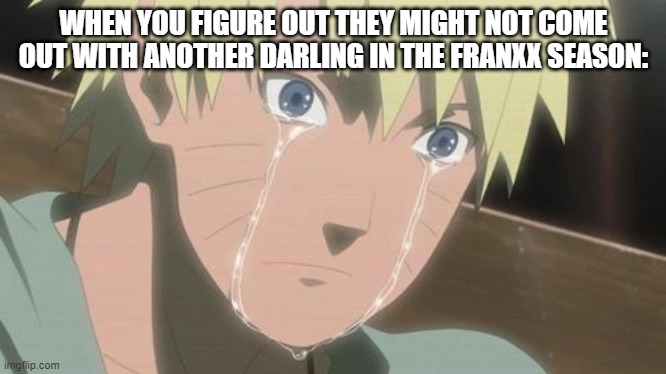 NOOOOOOOOOOOOOO | WHEN YOU FIGURE OUT THEY MIGHT NOT COME OUT WITH ANOTHER DARLING IN THE FRANXX SEASON: | image tagged in crying naruto,cry,sad,darling in the franxx,crying | made w/ Imgflip meme maker