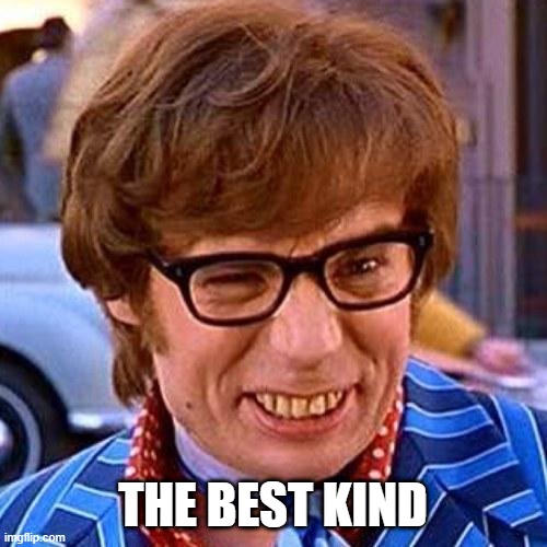 Austin Powers Wink | THE BEST KIND | image tagged in austin powers wink | made w/ Imgflip meme maker