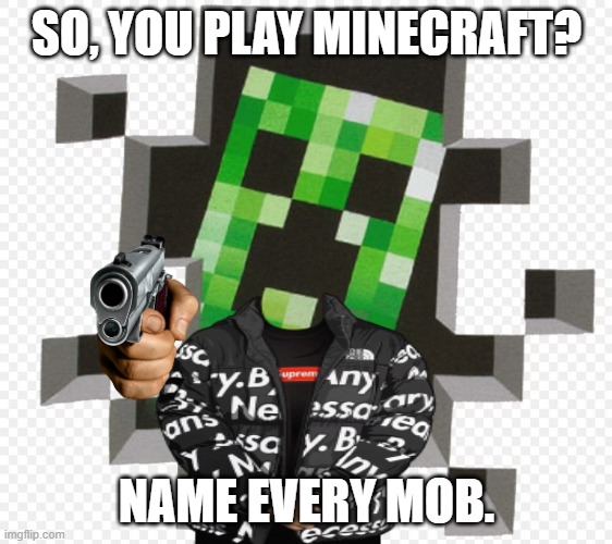creeper | SO, YOU PLAY MINECRAFT? NAME EVERY MOB. | image tagged in minecraft creeper | made w/ Imgflip meme maker