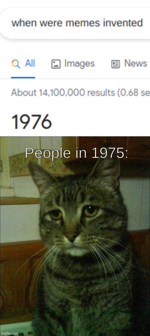 People in 1975: | image tagged in memes,depressed cat,cats | made w/ Imgflip meme maker