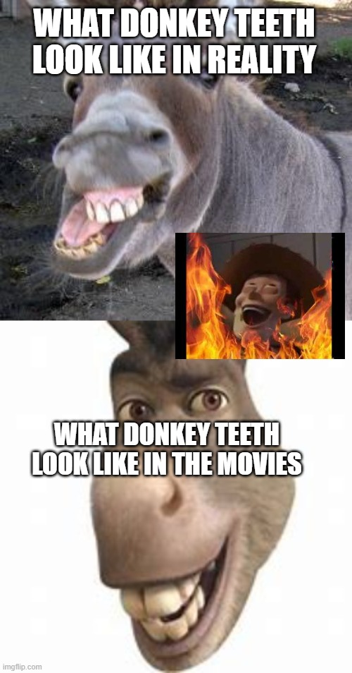 teeth in movies | WHAT DONKEY TEETH LOOK LIKE IN REALITY; WHAT DONKEY TEETH LOOK LIKE IN THE MOVIES | image tagged in donkey | made w/ Imgflip meme maker