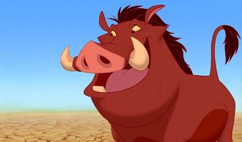 Pumba Blank Meme Template