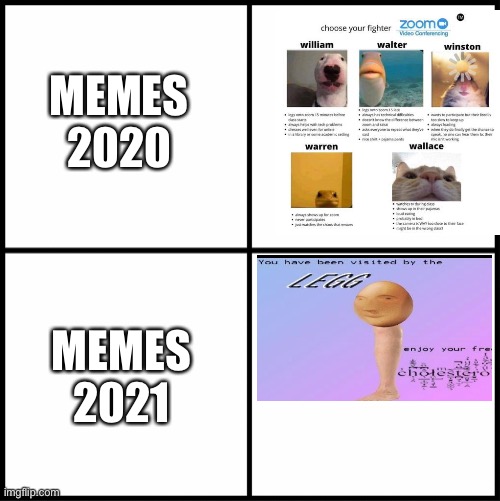 Nooooooo |  MEMES 2020; MEMES 2021 | image tagged in blank drake format,legg,zoom,walter,helo,oh wow are you actually reading these tags | made w/ Imgflip meme maker