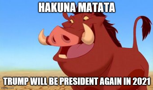 Pumba | HAKUNA MATATA; TRUMP WILL BE PRESIDENT AGAIN IN 2021 | image tagged in pumba | made w/ Imgflip meme maker