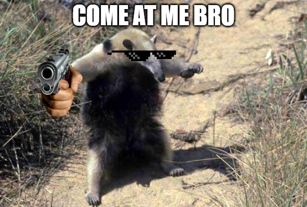 Tpose | COME AT ME BRO | image tagged in tpose | made w/ Imgflip meme maker