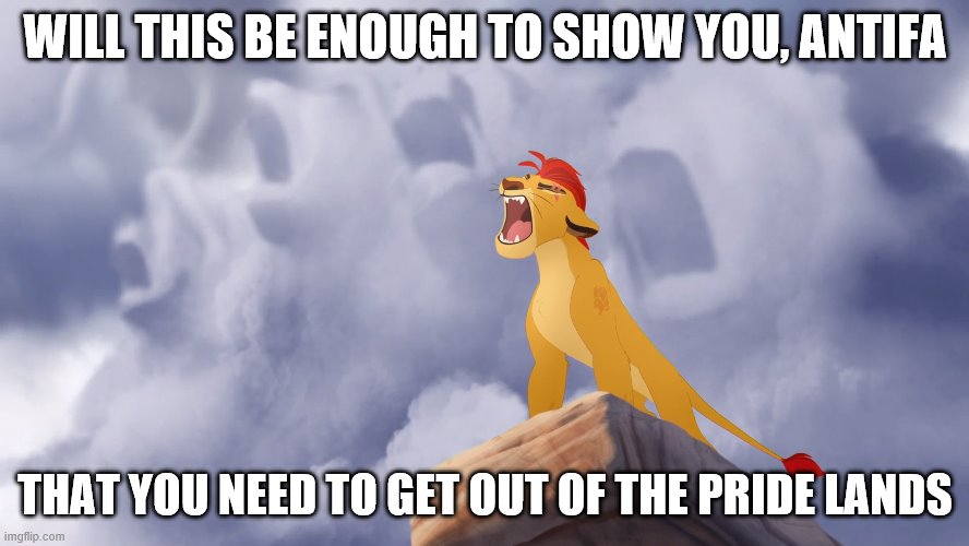 Kion roar | WILL THIS BE ENOUGH TO SHOW YOU, ANTIFA; THAT YOU NEED TO GET OUT OF THE PRIDE LANDS | image tagged in kion roar | made w/ Imgflip meme maker