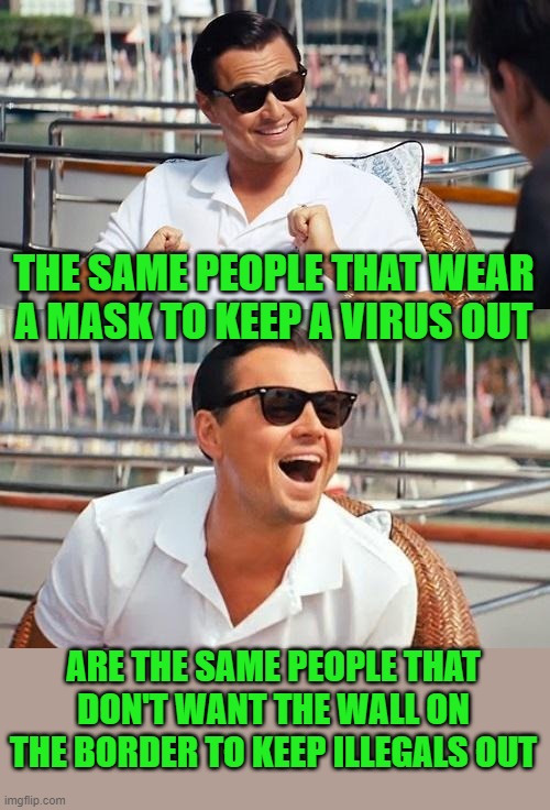 Leonardo Dicaprio Wolf Of Wall Street Meme | THE SAME PEOPLE THAT WEAR A MASK TO KEEP A VIRUS OUT ARE THE SAME PEOPLE THAT DON'T WANT THE WALL ON THE BORDER TO KEEP ILLEGALS OUT | image tagged in memes,leonardo dicaprio wolf of wall street | made w/ Imgflip meme maker