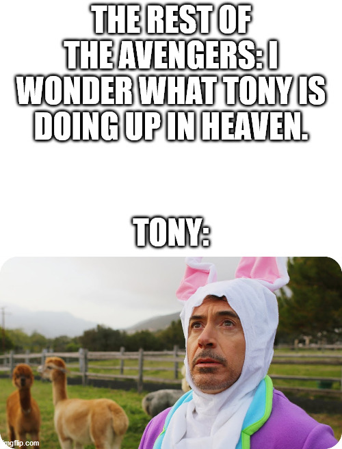rdj easter bunny | THE REST OF THE AVENGERS: I WONDER WHAT TONY IS DOING UP IN HEAVEN. TONY: | image tagged in blank white template,robert downey jr,avengers endgame,avengers,tony stark | made w/ Imgflip meme maker