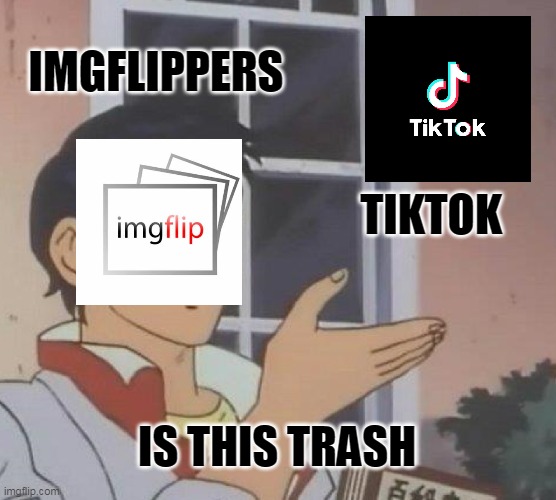 Tik Tok? More like Shit Stock | IMGFLIPPERS; TIKTOK; IS THIS TRASH | image tagged in memes,is this a pigeon | made w/ Imgflip meme maker