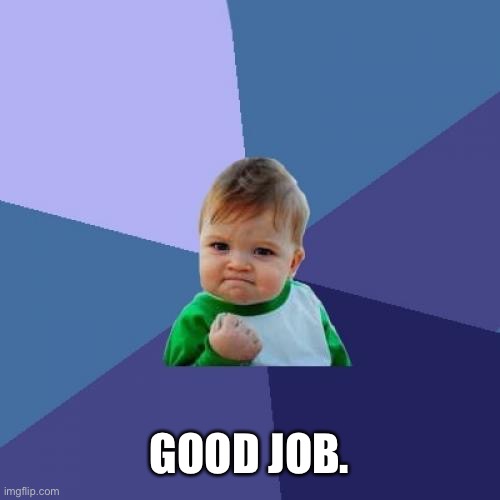 Success Kid Meme | GOOD JOB. | image tagged in memes,success kid | made w/ Imgflip meme maker