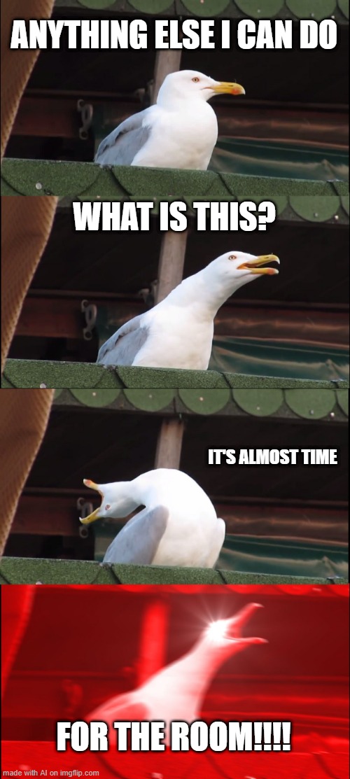 THE ROOM!!!!1!! | ANYTHING ELSE I CAN DO; WHAT IS THIS? IT'S ALMOST TIME; FOR THE ROOM!!!! | image tagged in memes,inhaling seagull,ai meme | made w/ Imgflip meme maker