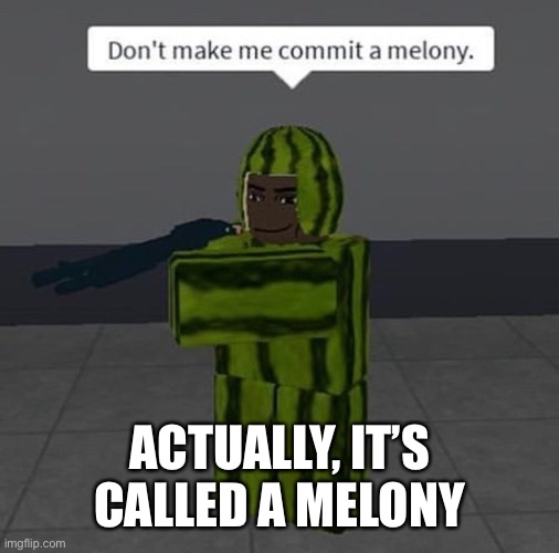 melony | ACTUALLY, IT’S CALLED A MELONY | image tagged in melony | made w/ Imgflip meme maker