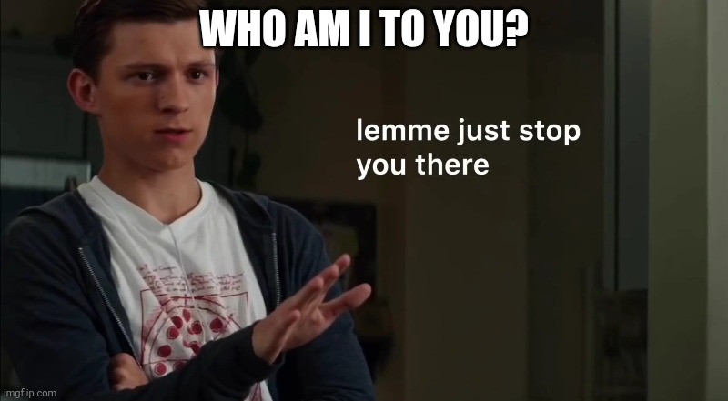Lemme just stop you there | WHO AM I TO YOU? | image tagged in lemme just stop you there | made w/ Imgflip meme maker