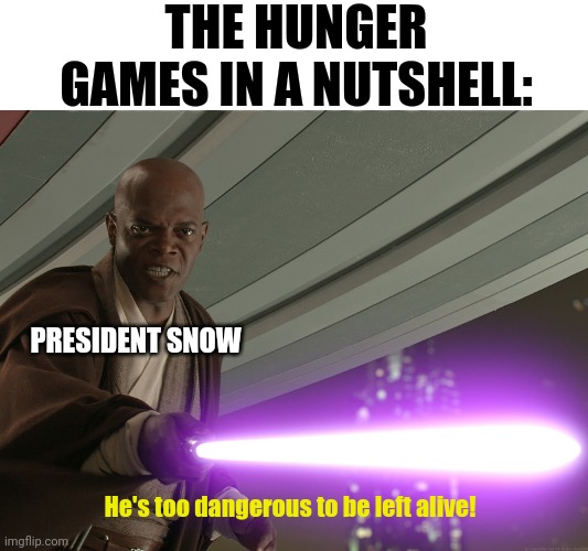 mace windu | THE HUNGER GAMES IN A NUTSHELL:; PRESIDENT SNOW; He's too dangerous to be left alive! | image tagged in mace windu | made w/ Imgflip meme maker