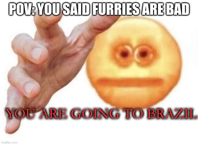 vibe check | POV: YOU SAID FURRIES ARE BAD; YOU ARE GOING TO BRAZIL | image tagged in vibe check | made w/ Imgflip meme maker