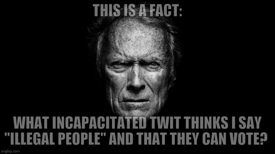 Clint Eastwood Black BG | THIS IS A FACT: WHAT INCAPACITATED TWIT THINKS I SAY "ILLEGAL PEOPLE" AND THAT THEY CAN VOTE? | image tagged in clint eastwood black bg | made w/ Imgflip meme maker