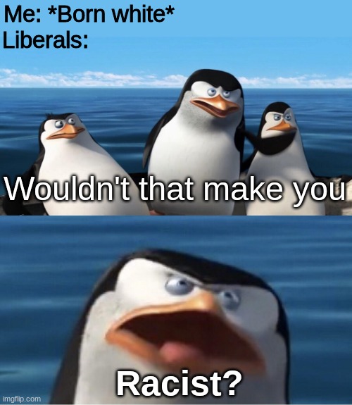 The term "racism" is used far too broadly | Liberals:; Me: *Born white*; Wouldn't that make you; Racist? | image tagged in wouldn't that make you,racist,penguin,politics,donald trump | made w/ Imgflip meme maker