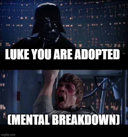 Star Wars No | LUKE YOU ARE ADOPTED; (MENTAL BREAKDOWN) | image tagged in memes,star wars no | made w/ Imgflip meme maker