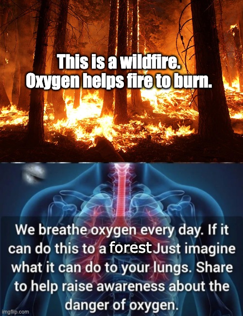 Oxygen Causes Wildfire | This is a wildfire. Oxygen helps fire to burn. forest | image tagged in memes,oxygen,wildfire | made w/ Imgflip meme maker