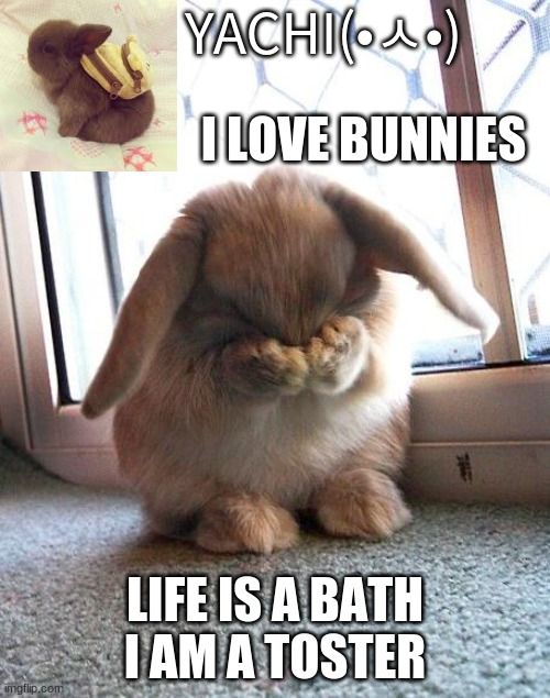 Yachi's bunny temp | LIFE IS A BATH I AM A TOSTER | image tagged in yachi's bunny temp | made w/ Imgflip meme maker