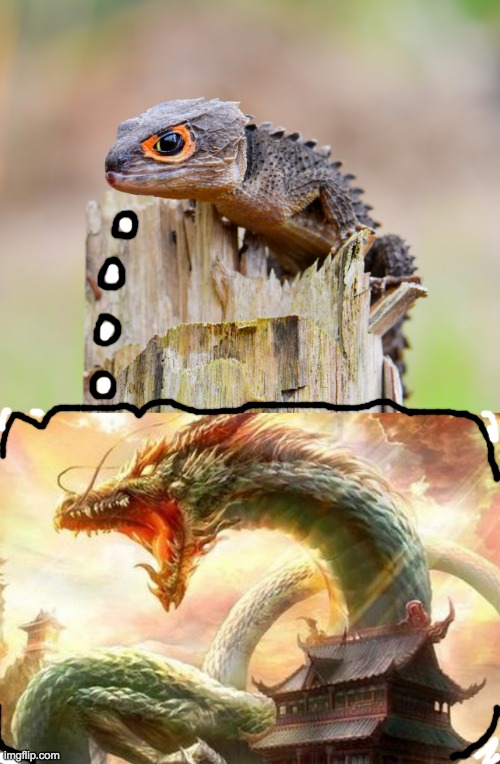 image tagged in satisfied skink | made w/ Imgflip meme maker