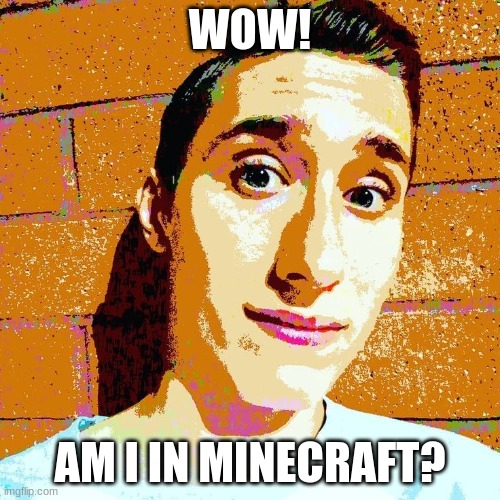 Stephen M. Green In... | WOW! AM I IN MINECRAFT? | image tagged in stephenmgreen,youtuber,youtubers,actors,artists,2019 | made w/ Imgflip meme maker