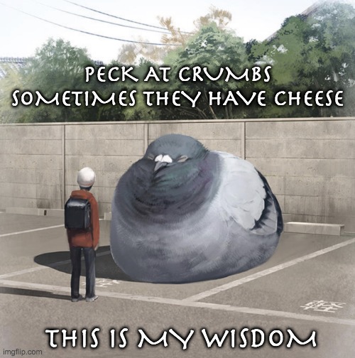 The pigeon sutras | PECK AT CRUMBS
SOMETIMES THEY HAVE CHEESE; THIS IS MY WISDOM | image tagged in beeg birb,pigeon,wisdom,words of wisdom | made w/ Imgflip meme maker
