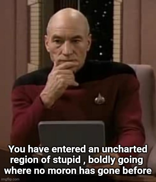 picard thinking | You have entered an uncharted region of stupid , boldly going 
where no moron has gone before | image tagged in picard thinking | made w/ Imgflip meme maker