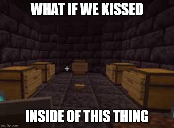 so hot xd | WHAT IF WE KISSED; INSIDE OF THIS THING | image tagged in dream smp,tommyinnit | made w/ Imgflip meme maker