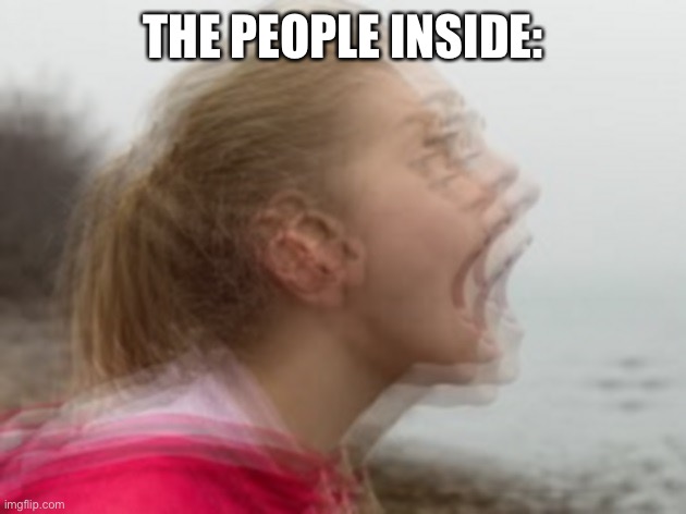 THE PEOPLE INSIDE: | image tagged in vibrations | made w/ Imgflip meme maker