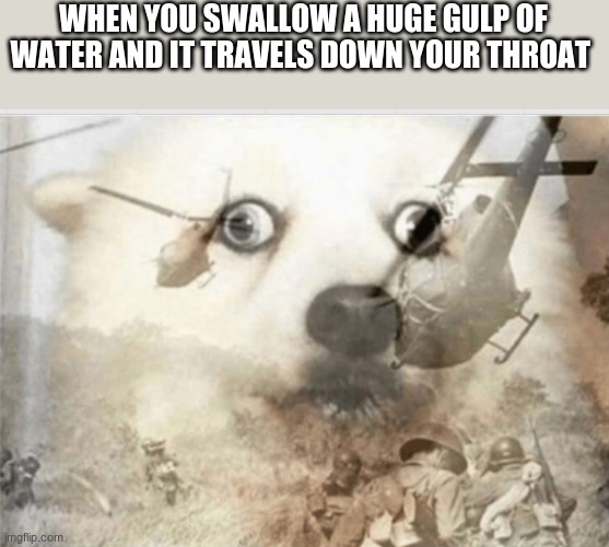 THAT HURT LIKE HELL | WHEN YOU SWALLOW A HUGE GULP OF WATER AND IT TRAVELS DOWN YOUR THROAT | image tagged in ptsd dog,funny,meme | made w/ Imgflip meme maker