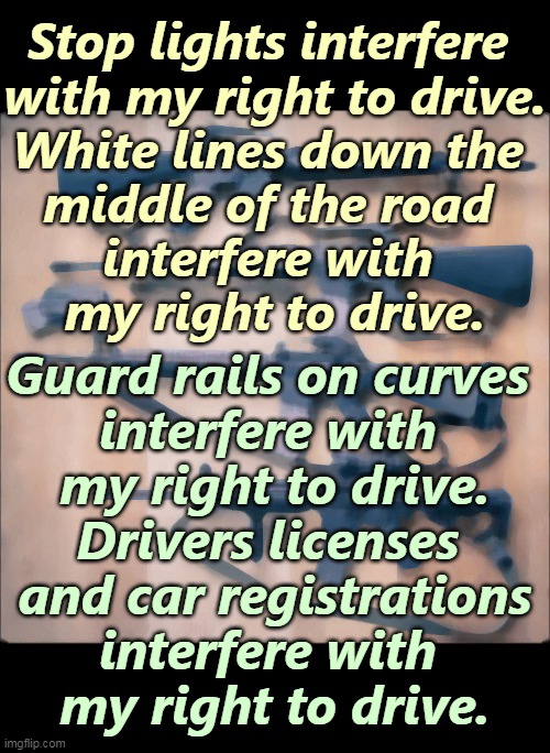 Tough nuggets. There is no such thing as an unrestricted right. Every right has rules, and that includes the Second Amendment. | Stop lights interfere 
with my right to drive.

White lines down the 
middle of the road 
interfere with 
my right to drive. Guard rails on curves 
interfere with 
my right to drive.
Drivers licenses 
and car registrations
interfere with 
my right to drive. | image tagged in gun nuts,idiots | made w/ Imgflip meme maker