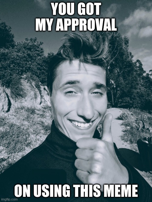 Stephen M. Green Approves | YOU GOT MY APPROVAL; ON USING THIS MEME | image tagged in stephenmgreen,youtuber,youtubers,actors,artists,2020 | made w/ Imgflip meme maker