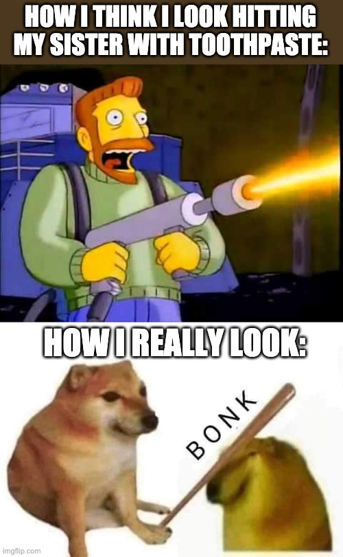 *bonk | HOW I THINK I LOOK HITTING MY SISTER WITH TOOTHPASTE:; HOW I REALLY LOOK: | image tagged in kill it with fire,doge bonk | made w/ Imgflip meme maker