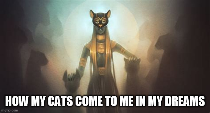 Cat God | HOW MY CATS COME TO ME IN MY DREAMS | image tagged in cat god | made w/ Imgflip meme maker