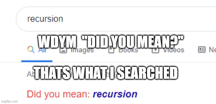 WDYM  "DID YOU MEAN?"; THATS WHAT I SEARCHED | image tagged in google search | made w/ Imgflip meme maker