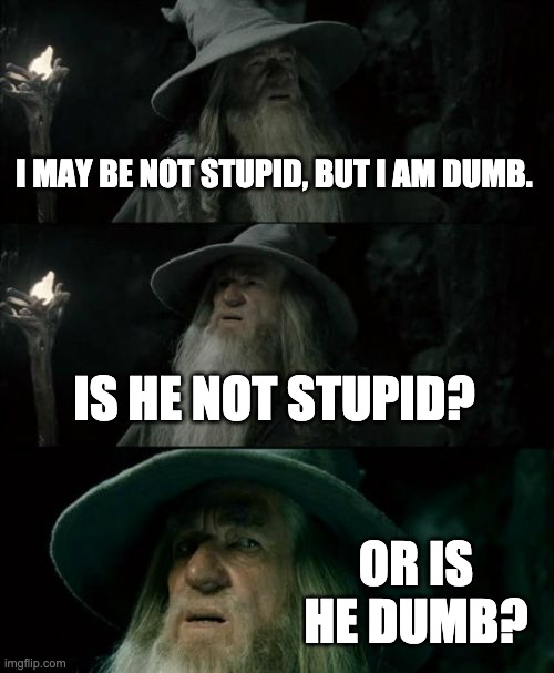 Confused Gandalf Meme | I MAY BE NOT STUPID, BUT I AM DUMB. IS HE NOT STUPID? OR IS HE DUMB? | image tagged in memes,confused gandalf | made w/ Imgflip meme maker