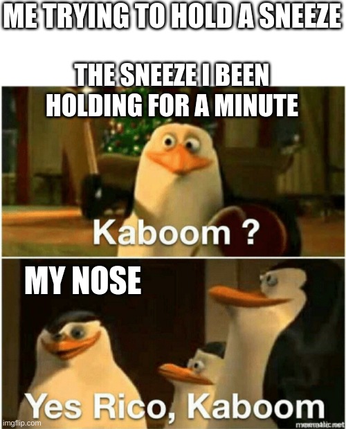 Like for real dude | ME TRYING TO HOLD A SNEEZE; THE SNEEZE I BEEN HOLDING FOR A MINUTE; MY NOSE | image tagged in kaboom yes rico kaboom | made w/ Imgflip meme maker
