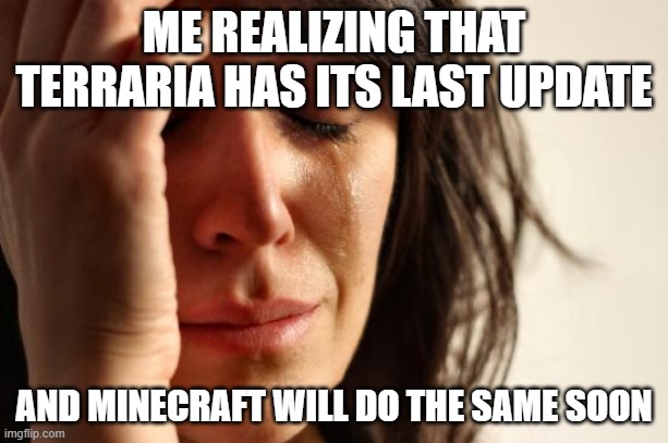 First World Problems | ME REALIZING THAT TERRARIA HAS ITS LAST UPDATE; AND MINECRAFT WILL DO THE SAME SOON | image tagged in memes,first world problems | made w/ Imgflip meme maker