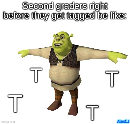 Wait, that doesn't count, I was on T | Second graders right before they get tagged be like:; T; T; T; T; AlexCJ | image tagged in shrek t pose,t pose,relatable,nostalgia,funny memes,dank memes | made w/ Imgflip meme maker